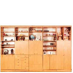 Wall unit for a classroom of History, Geography and Biology